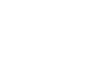 2021 Outstanding Private Investigator Award