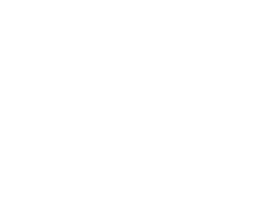 Private Investigator Excellence Award 2020