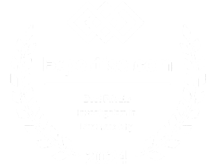 Top Private Investigator Services in NYC 2024